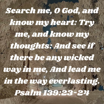 087A43DD-F960-4F85-ACF0-BD448A98DFA0.png