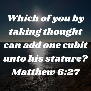 69D288E9-C4D7-4F23-8B13-125CEA210C20.png