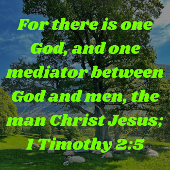 17F63AED-6E3C-40CC-B13F-E004FFDAFC7D.png