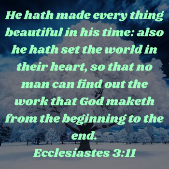 E1C95984-5297-43E0-B3C8-7CE93AB54C5B.png