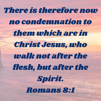 2F608338-B6A8-4036-BA65-3B993718F7CE.png