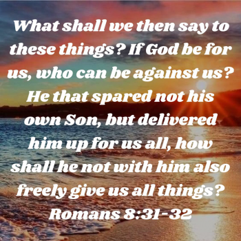 F33BF8F3-0075-43A5-A307-2F2D63A2035A.png