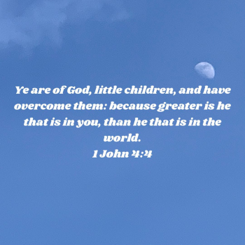 EFBA2786-0F6A-4748-8F9B-50B7BC7EBFEA.png
