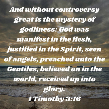 CA4172D5-BC58-4D9F-A1B8-D01973169F45.png