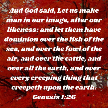 FF2E5721-40A6-4702-B20C-9246AF7A05CF.png