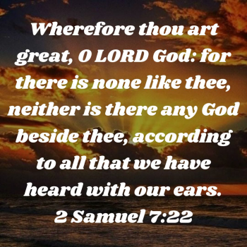 7BC7B496-F48F-4863-8385-D450BEA0948D.png