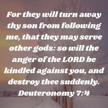 C2C3C698-8163-4365-91BA-7DA6AF807B8F.png