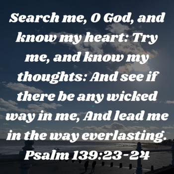 03413D59-18C2-4AD9-B477-7B14EB7B395C.png