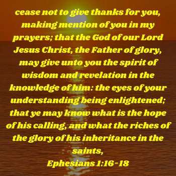 EFEAA643-C6C0-4423-8752-9F1DD01EC1EB.png