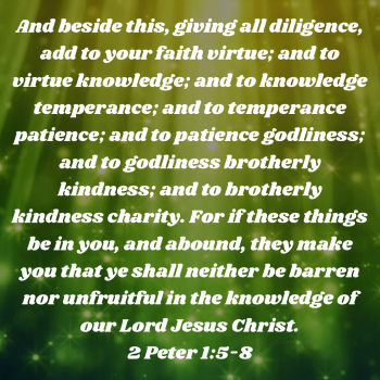 52ED5153-775B-4A6D-BB7C-584B64C312C7.png
