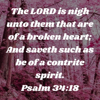 F86A8932-CB7D-440B-99E5-68426B34A1C5.png