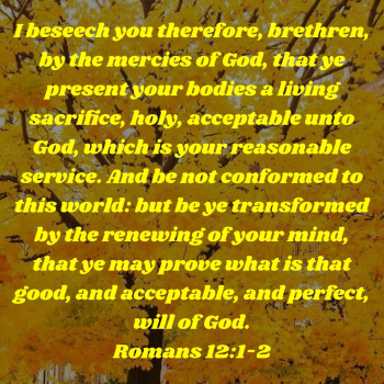 59CFEF95-119B-45CE-B8EF-B6A113C3E135.png