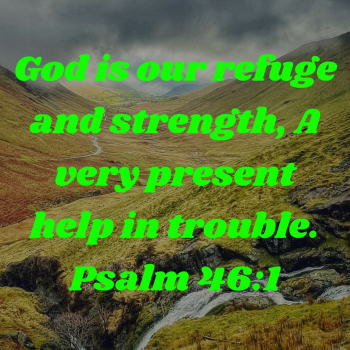 1344CB44-9F06-486F-9310-FDB123F652A4.png