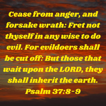 1987BCB5-A1EF-4E03-BA87-4876DFE568FA.png