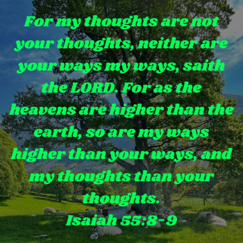 4CABBBFE-465C-4811-83F7-A8500F675ADA.png
