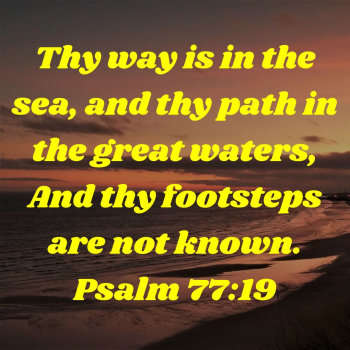 AB5A2E5D-BBEA-4C6F-9D83-C5FD1755C381.png