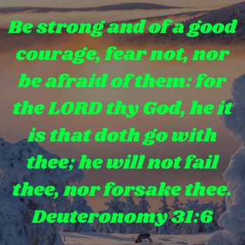 105D0843-6697-461E-94F7-754EEE78A11C.png