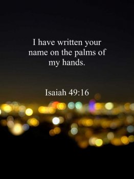 1648097530601.jpg