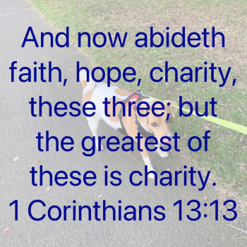 6F7EE95E-695D-4BA0-9098-288C057A04B5.png