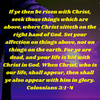 E577E483-AF35-41B1-A614-3B19E98BD5BF.png