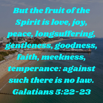18D79604-6172-4307-A954-D1FF88FBD82D.png