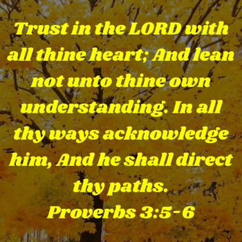 DBAE86B1-9869-4D40-AEB6-A8D3E17CF588.png
