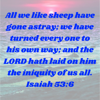 8298B444-AAFE-416A-A0FA-C91574DC6363.png