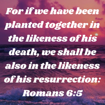 B9343F06-6828-48C0-A203-6CA84B235BE5.png