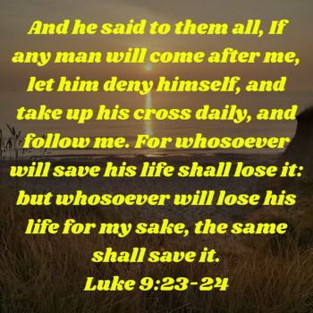 0EF84ABF-7491-4E3C-A1FC-D8890D098E7A.png