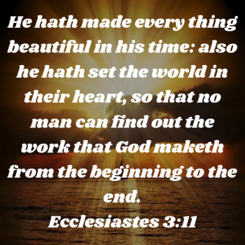 883473BF-8BF1-4A4A-808E-1C5611F91009.png