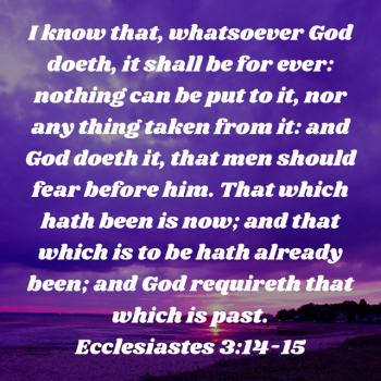 00300B2E-8C1D-4E45-A828-EB2AB69DE229.png