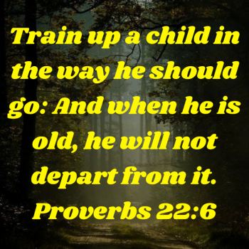 604723B6-5618-42ED-9ED0-7BEE1F2AA03F.png