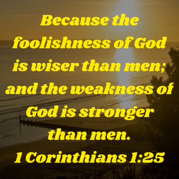 26E6FC4C-9EB6-4E5A-826A-C23E83BB5F07.png
