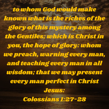 CBDC523E-0E74-4B6A-A335-79F92BC07613.png
