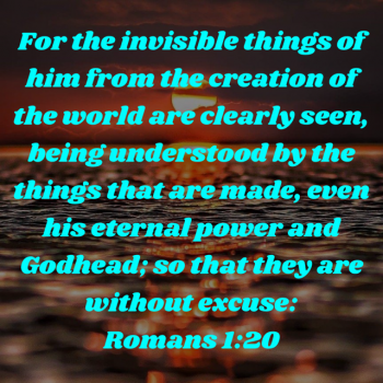 109FC047-1FDC-49A1-9854-D9394E7C422B.png
