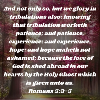 D7229B8C-3A57-4525-8C26-C1D1E4338F07.png
