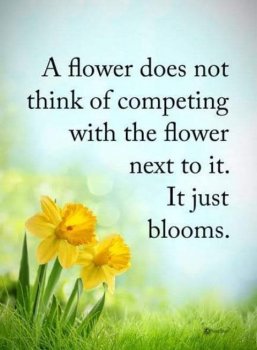 FB_IMG_1651009311847.jpg