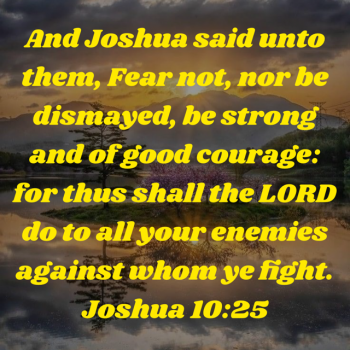 FB33E6BB-4256-450E-82D8-893E061B2C78.png