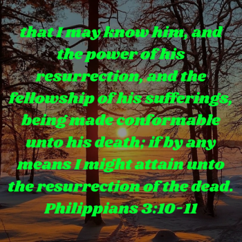 E2C44508-8D18-4A2E-B4DD-35E93237D965.png