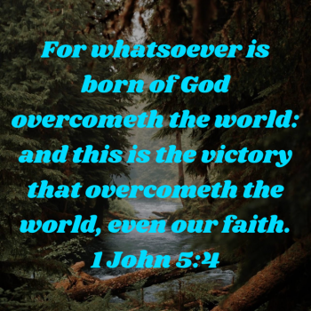 402AAEE3-F44B-4662-BA00-5AF531593B03.png
