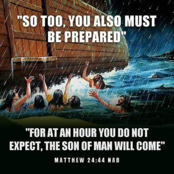 FB_IMG_1651340383640.jpg