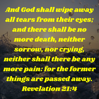D9FF657A-0C1B-439E-ABF5-DC5A00118316.png