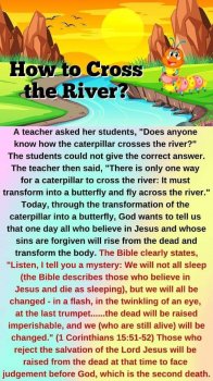 FB_IMG_1653164217688.jpg