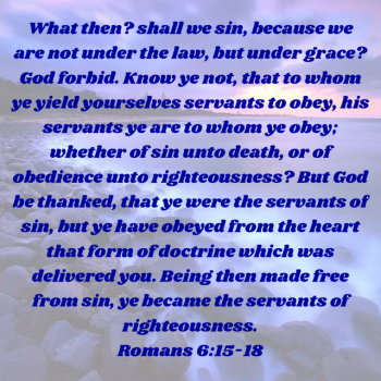B0366FC3-B939-4A88-91B5-397AC5B12813.png