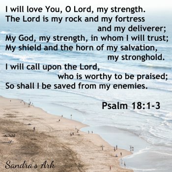 25. Bible Verse  Psalm 18 v 1-3  800x800  claimed.jpg