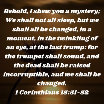 0D06FA98-C65C-4BA1-9514-5F6154BF34FE.png