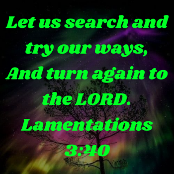 7AD8CC0B-49D5-4E6E-9E9A-40146450C8EC.png