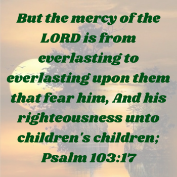 311A03B0-37CC-4CBD-BFE9-87114A080DEE.png