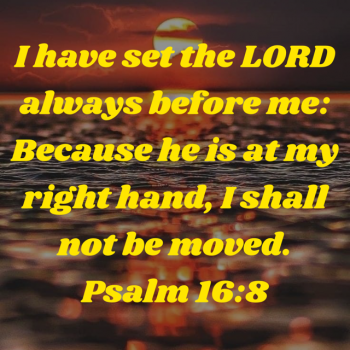 098ABC81-1207-4EFB-9EB9-723F954083C8.png