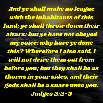 92BF9067-6A26-4A90-9BF7-C6235E416C1F.png